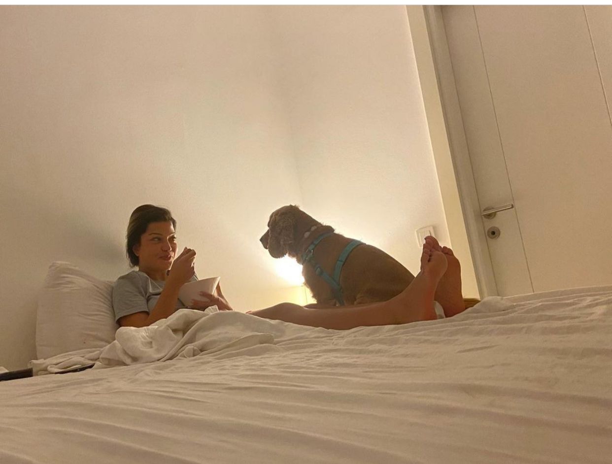 Antalya'da pitbull dehşeti: Sahibinin gözü önünde köpeği öldürdü